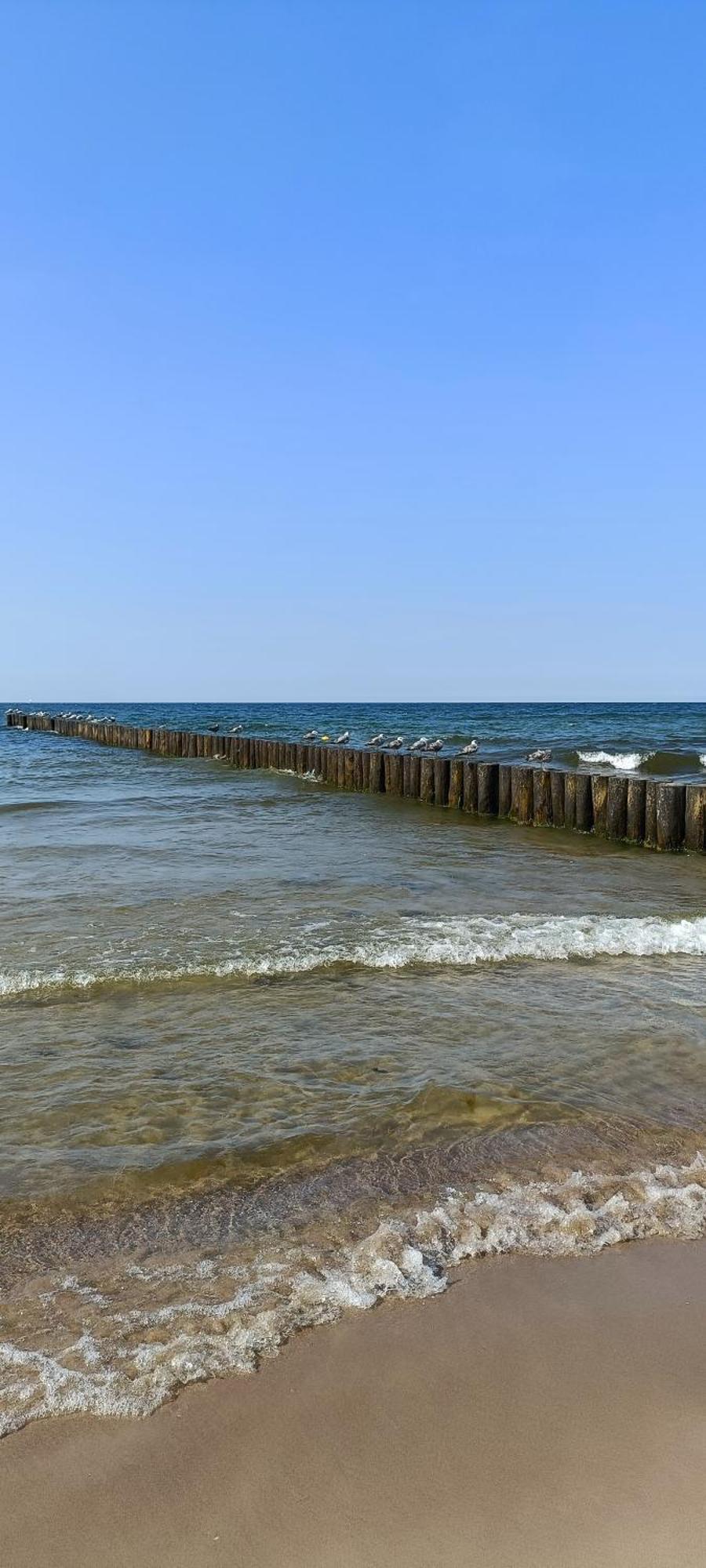Na Zaciszu Dziwnówek Exterior foto